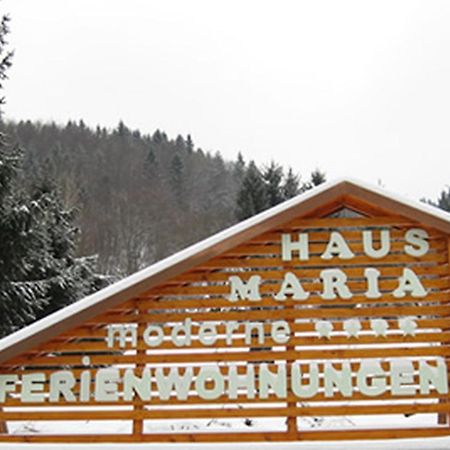 Haus Maria Leilighet Todtnau Eksteriør bilde