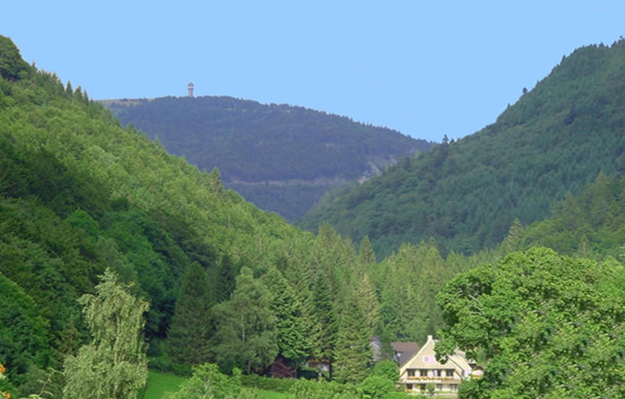Haus Maria Leilighet Todtnau Eksteriør bilde