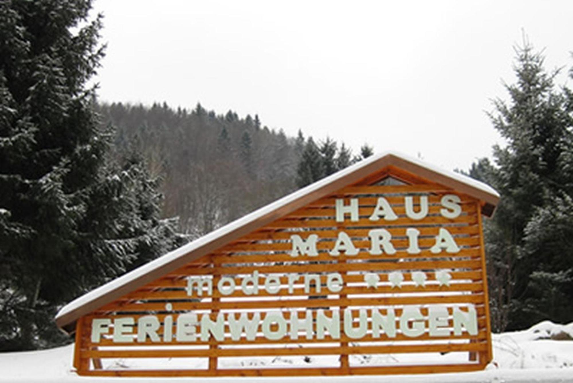 Haus Maria Leilighet Todtnau Eksteriør bilde