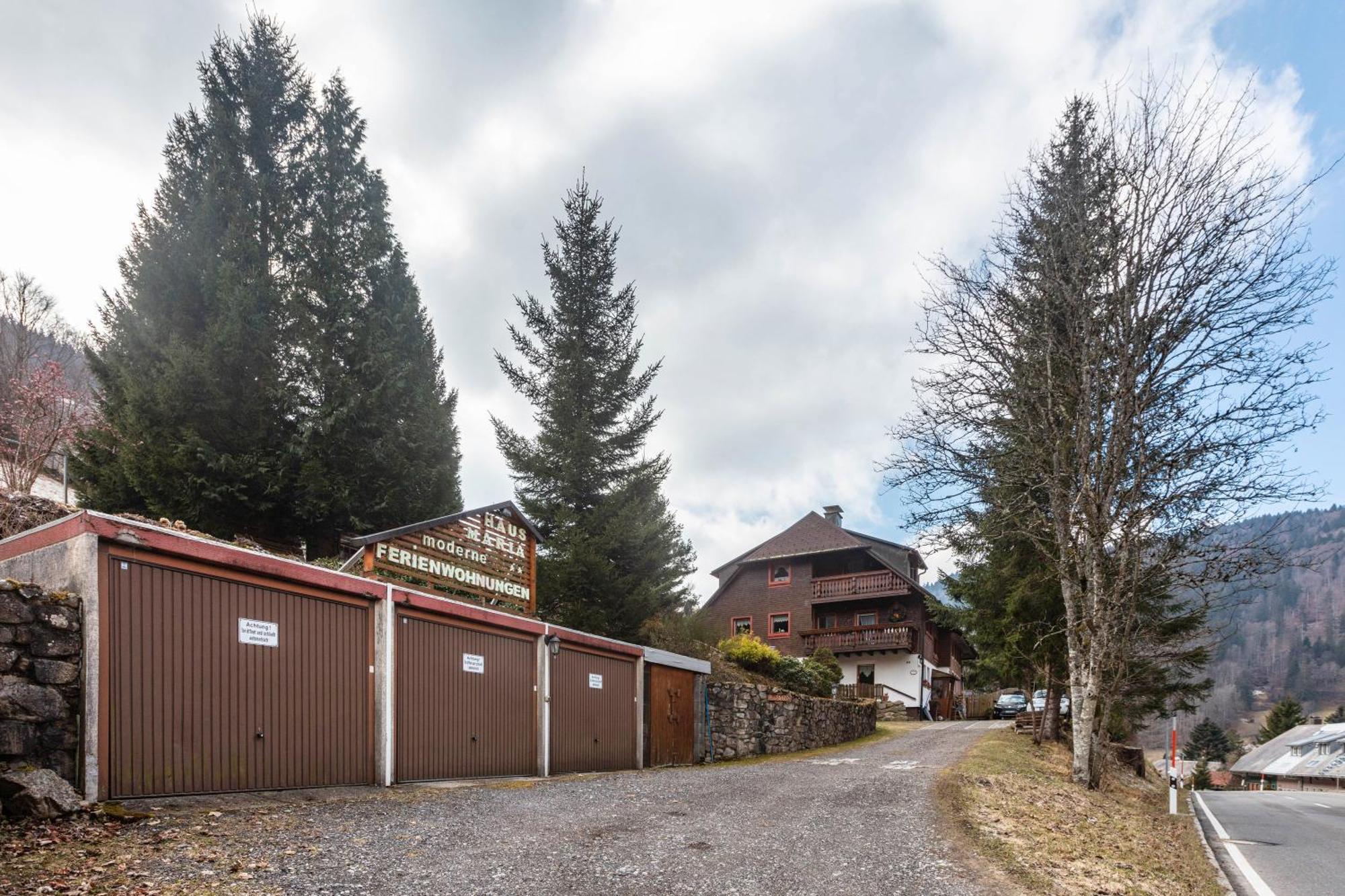 Haus Maria Leilighet Todtnau Eksteriør bilde